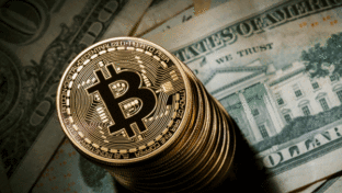 bitcoin koinler ve dolar banknotu